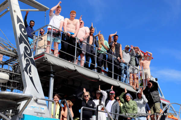 Shark cage diving, South Africa
