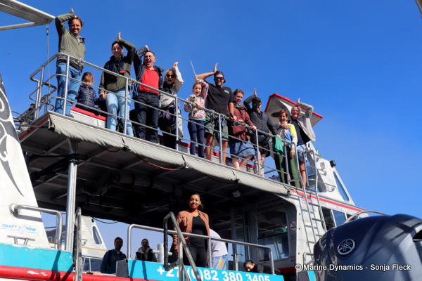 Shark cage diving, South Africa