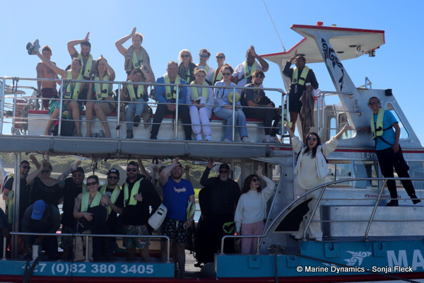 Shark cage diving, South Africa