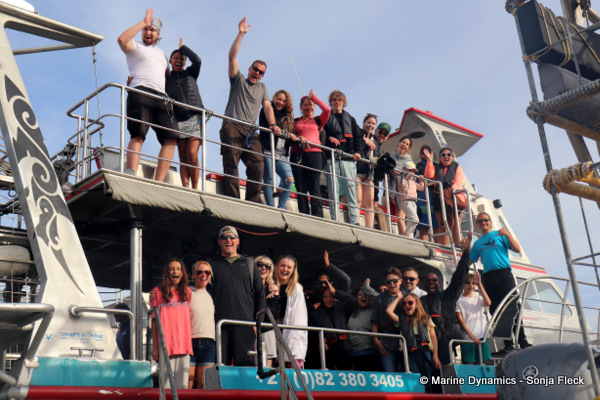 Shark Cage Diving, South Africa