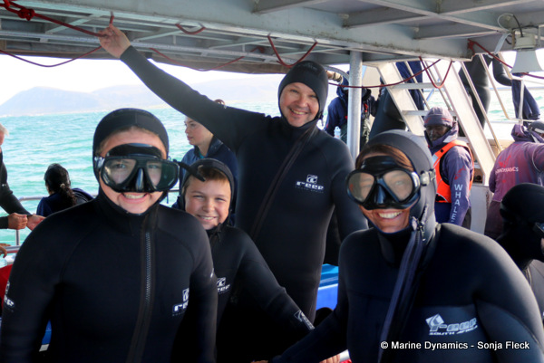 Shark cage diving, South Africa