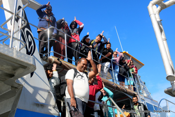 Shark cage diving, South Africa