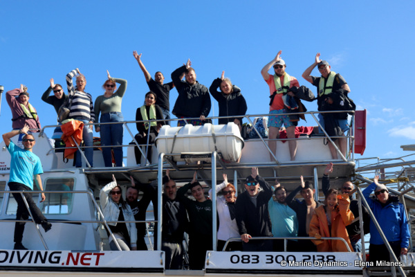 shark cage diving, South Africa