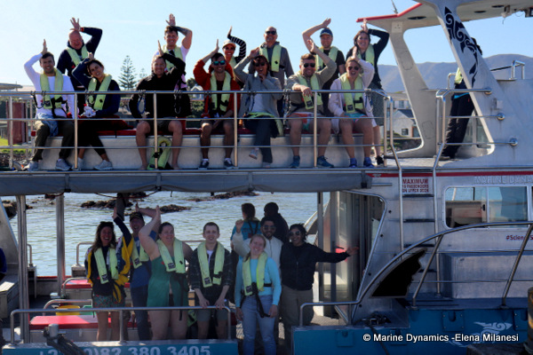 shark cage diving, South Africa