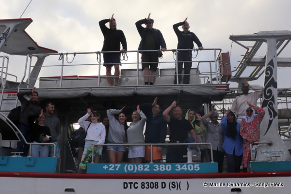 Shark cage diving, South Africa