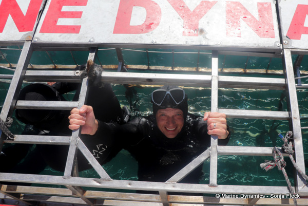 Shark cage diving, South Africa