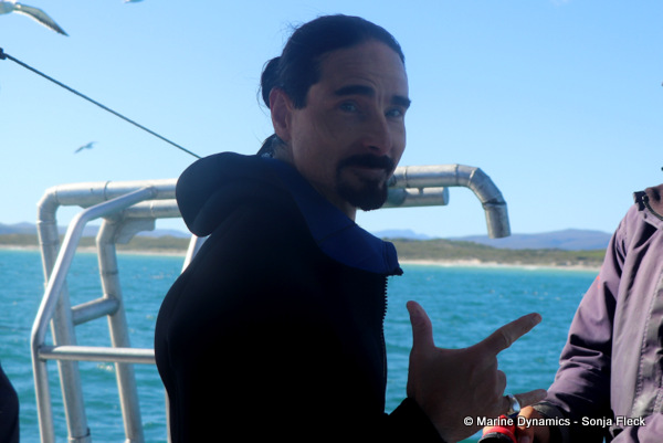 Shark cage diving, South Africa