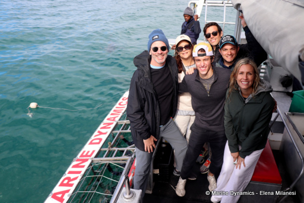 shark cage diving, South Africa