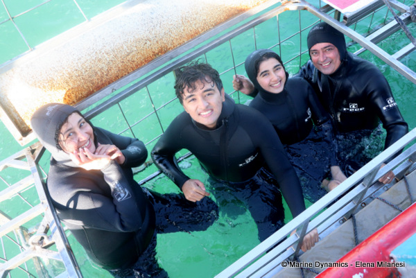 shark cage diving, South Africa