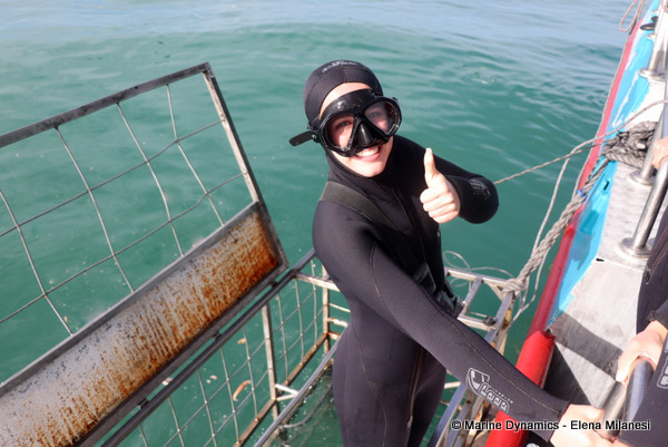 Shark cage diving, South Africa