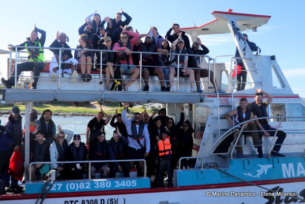 shark cage diving, South Africa
