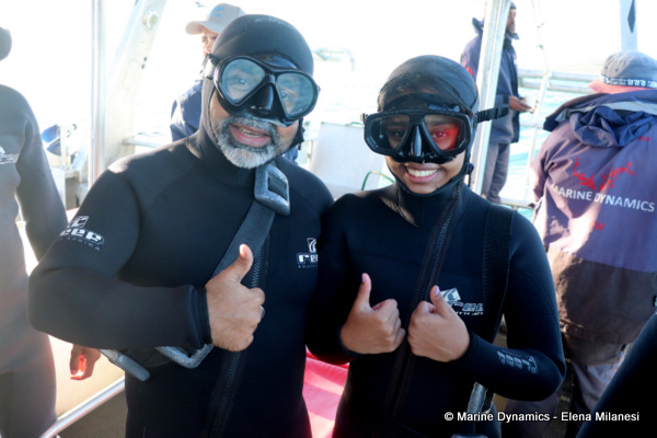 shark cage diving, South Africa