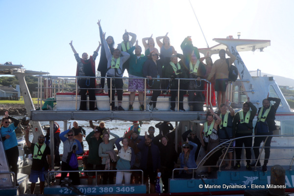 shark cage diving, South Africa
