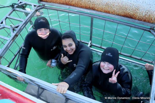 Shark Cage Diving, South Africa