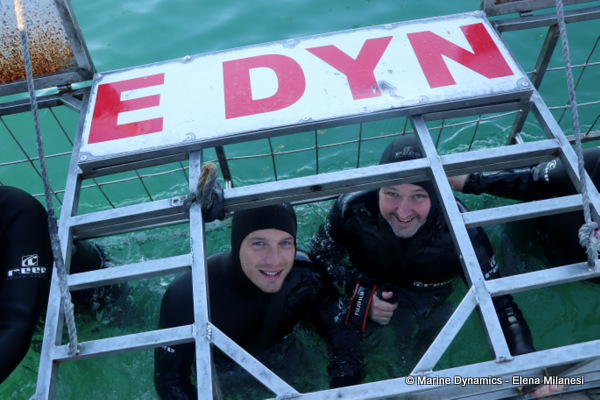 Shark Cage Diving, South Africa