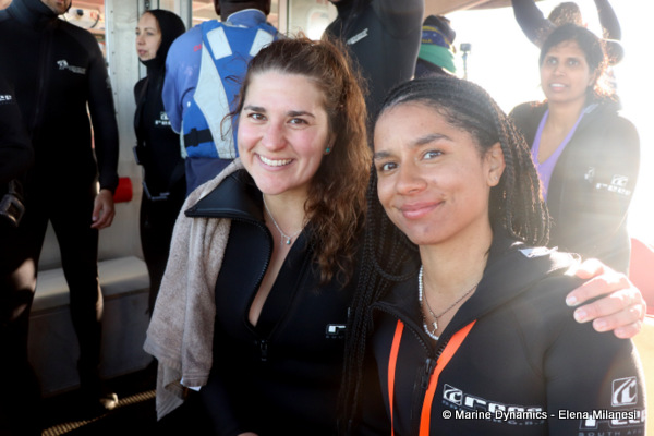 Shark Cage Diving, South Africa