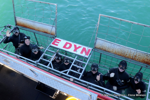 Shark Cage Diving, South Africa