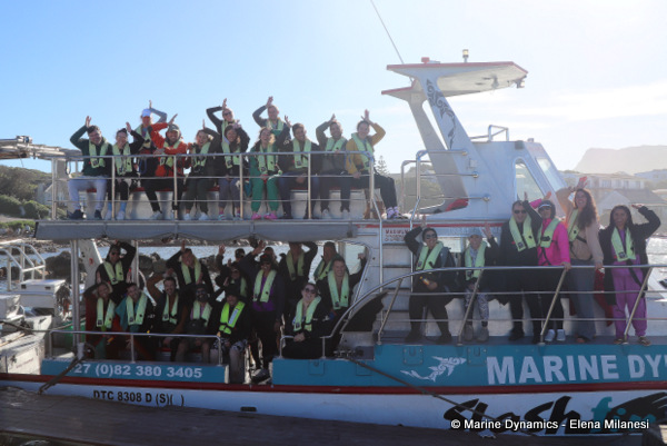 Shark Cage Diving, South Africa