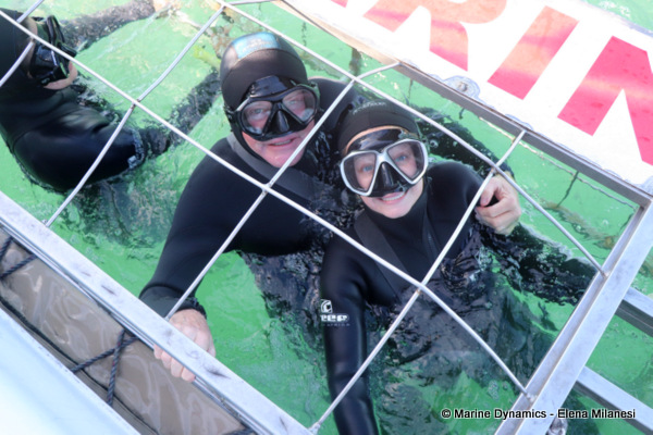 Shark Cage Diving, South Africa
