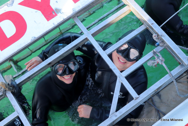 Shark Cage Diving, South Africa