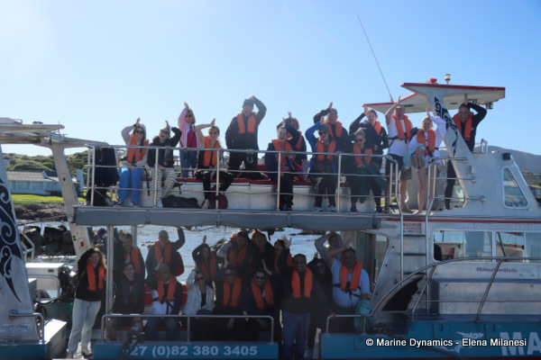 Shark Cage Diving, South Africa