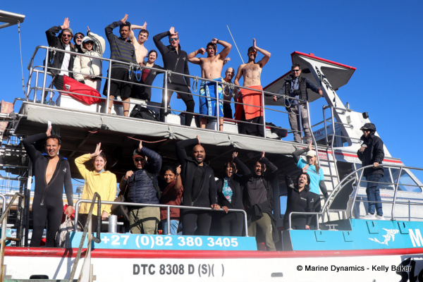 shark cage diving, South Africa