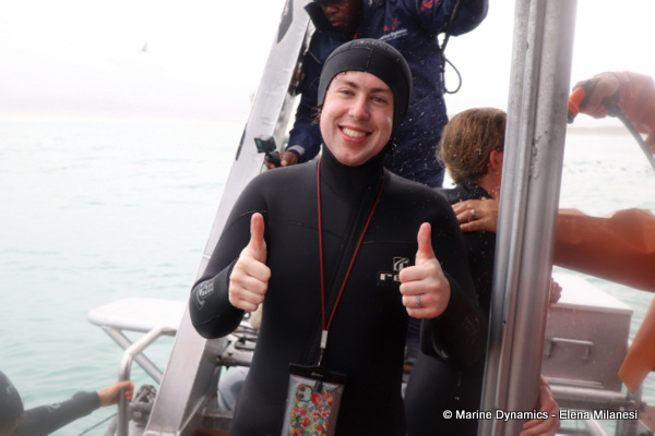 shark cage diving, South Africa