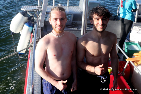 shark cage diving, South Africa