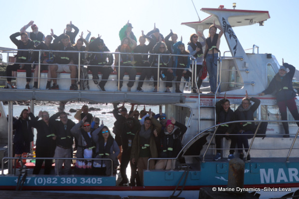 shark cage diving, South Africa