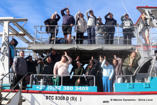 shark cage diving, South Africa