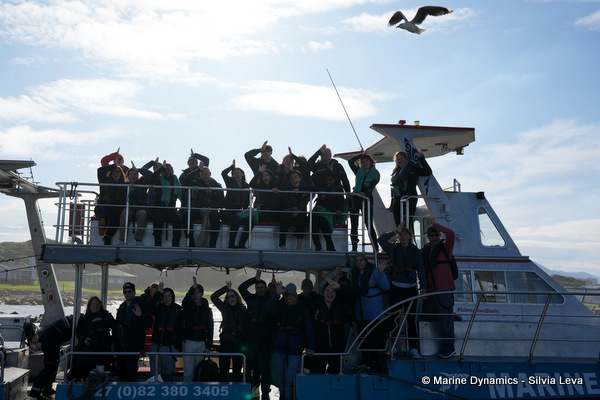 shark cage diving, South Africa