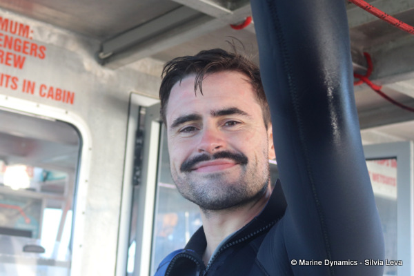 shark cage diving, South Africa