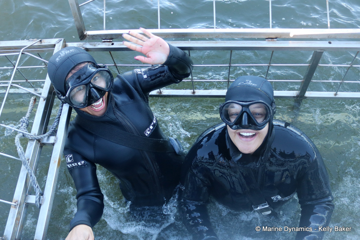 Shark cage diving, South Africa