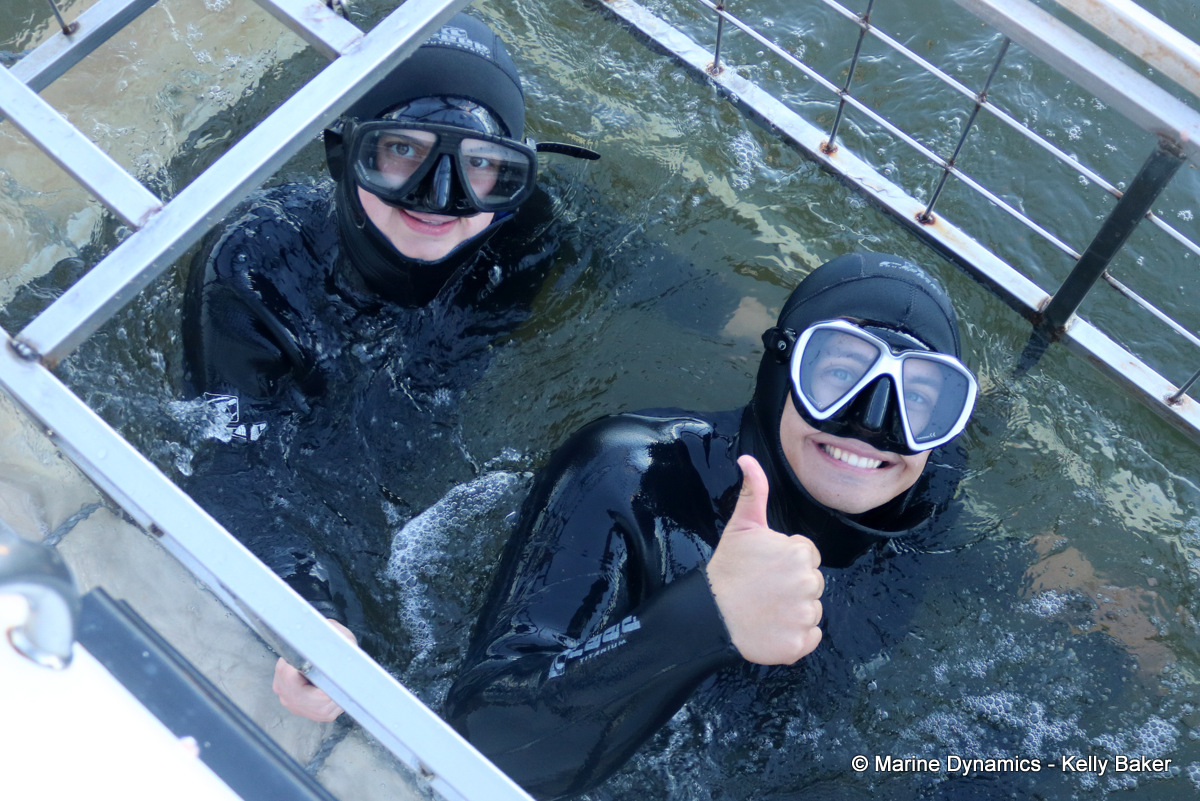 Shark cage diving, South Africa