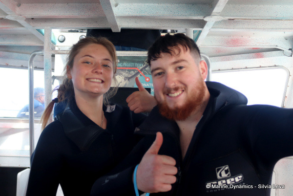 Shark cage diving, South Africa