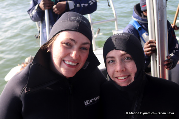 Shark cage diving, South Africa