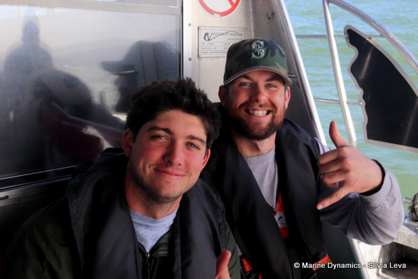 Shark cage diving, South Africa