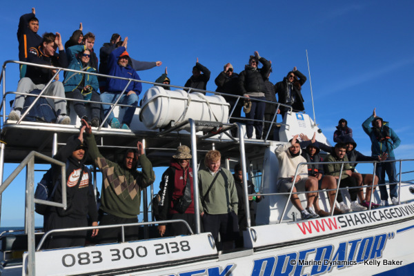 Shark cage diving, South Africa