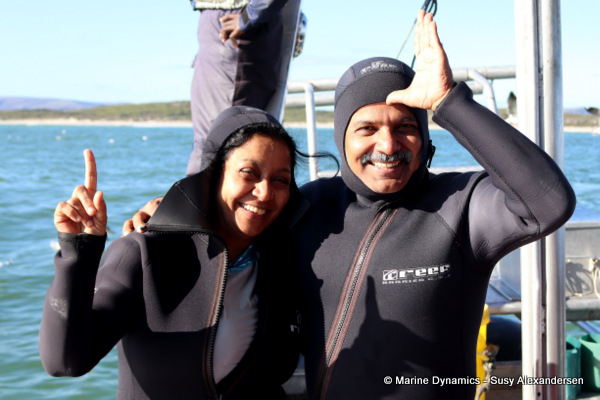 Shark cage diving, South Africa