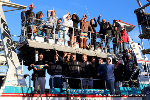 Shark cage diving, South Africa