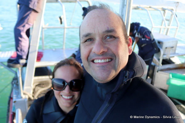 Shark cage diving, South Africa