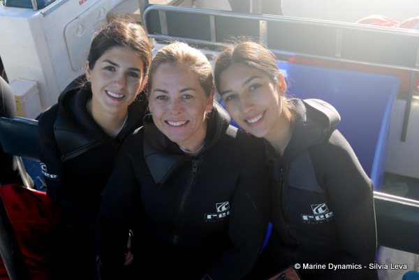 Shark cage diving, South Africa