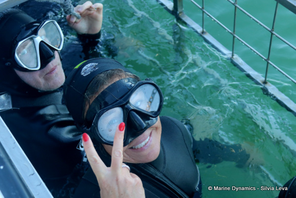 Shark cage diving, South Africa