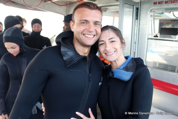 Shark cage diving, South Africa