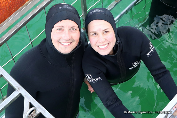 Shark cage diving, South Africa