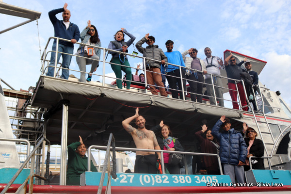 Shark cage diving, South Africa