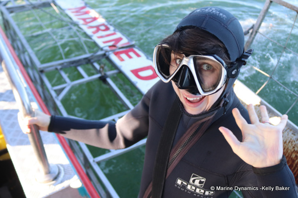 Shark cage diving, South Africa