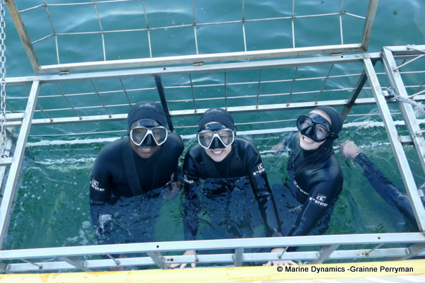 Shark cage diving, South Africa