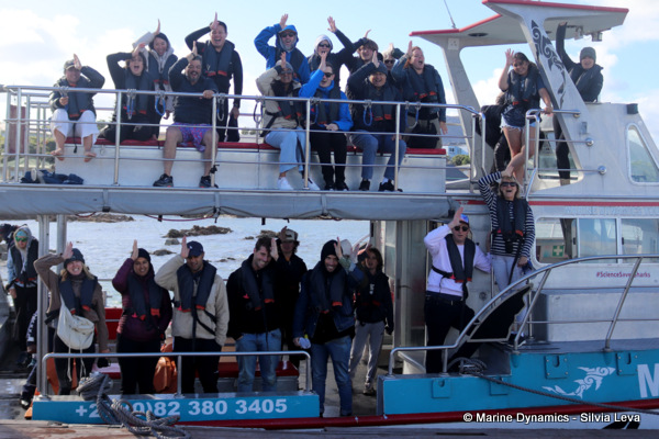 Shark cage diving, South Africa