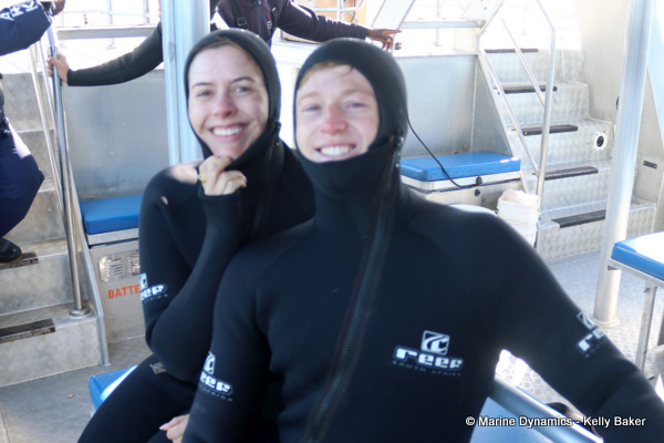 Shark cage diving, South Africa